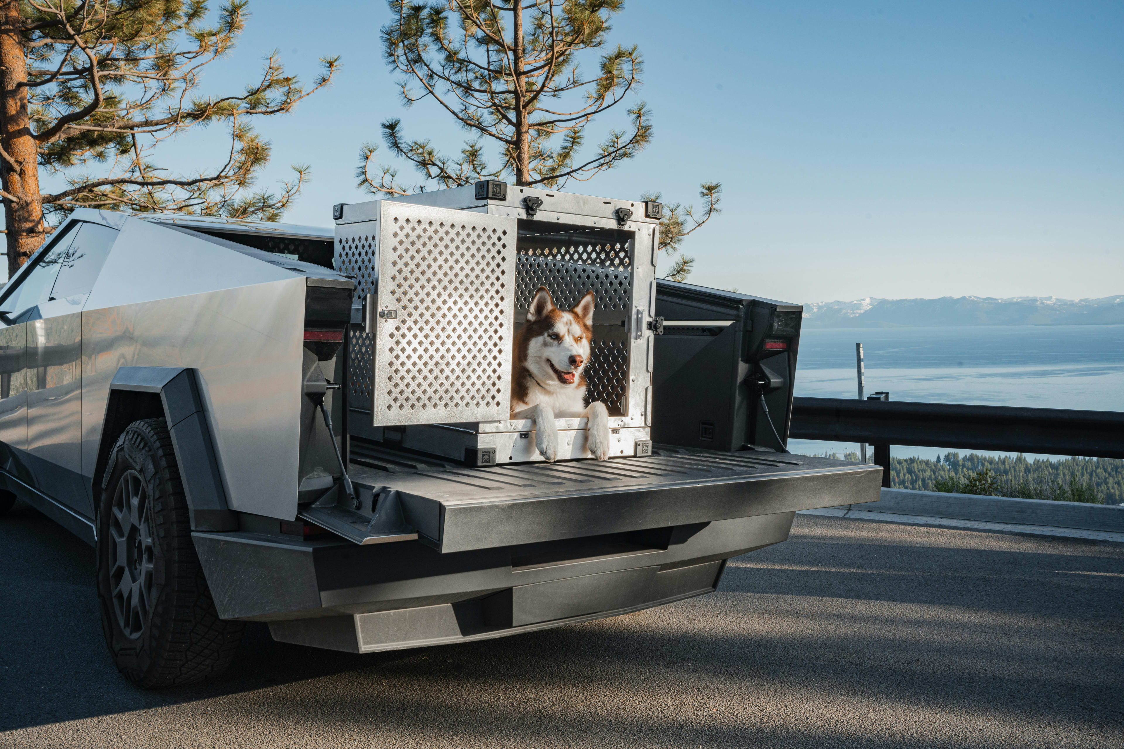 Pet Moving Services