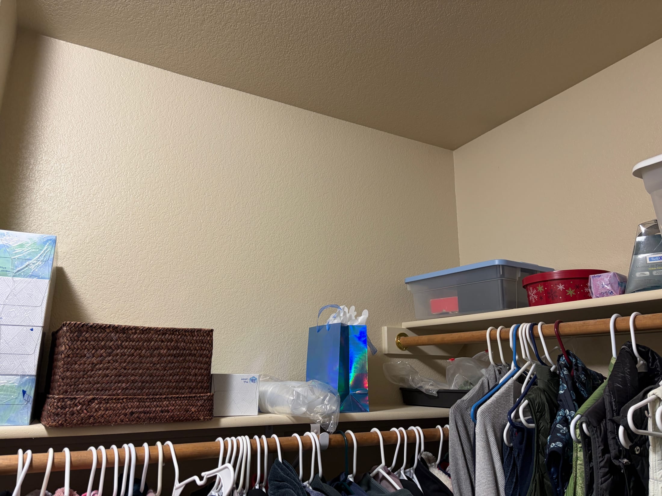 Walk-in Closet Shelf Addition — before