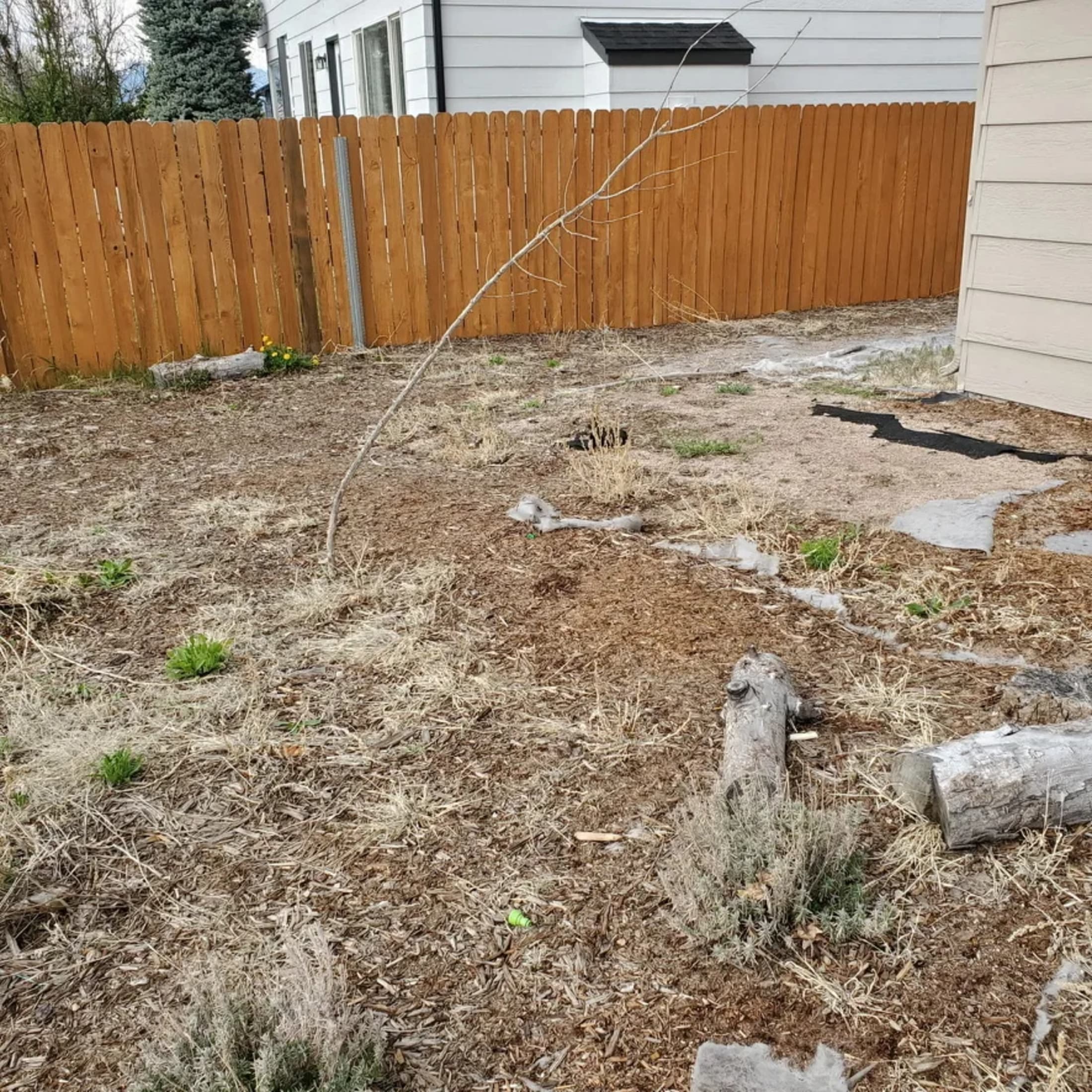 Full Backyard Renovation — before