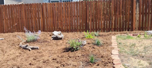 Full Backyard Renovation — before