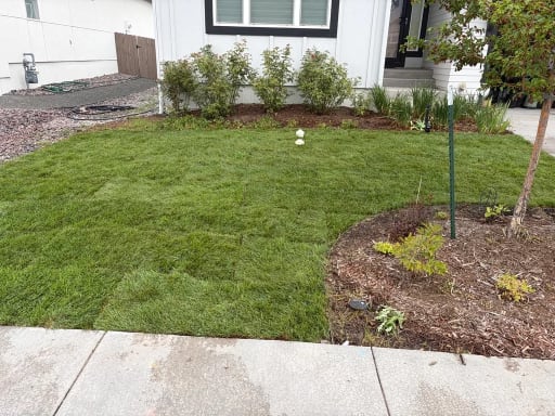 Sod Installation & Irrigation Repair — after