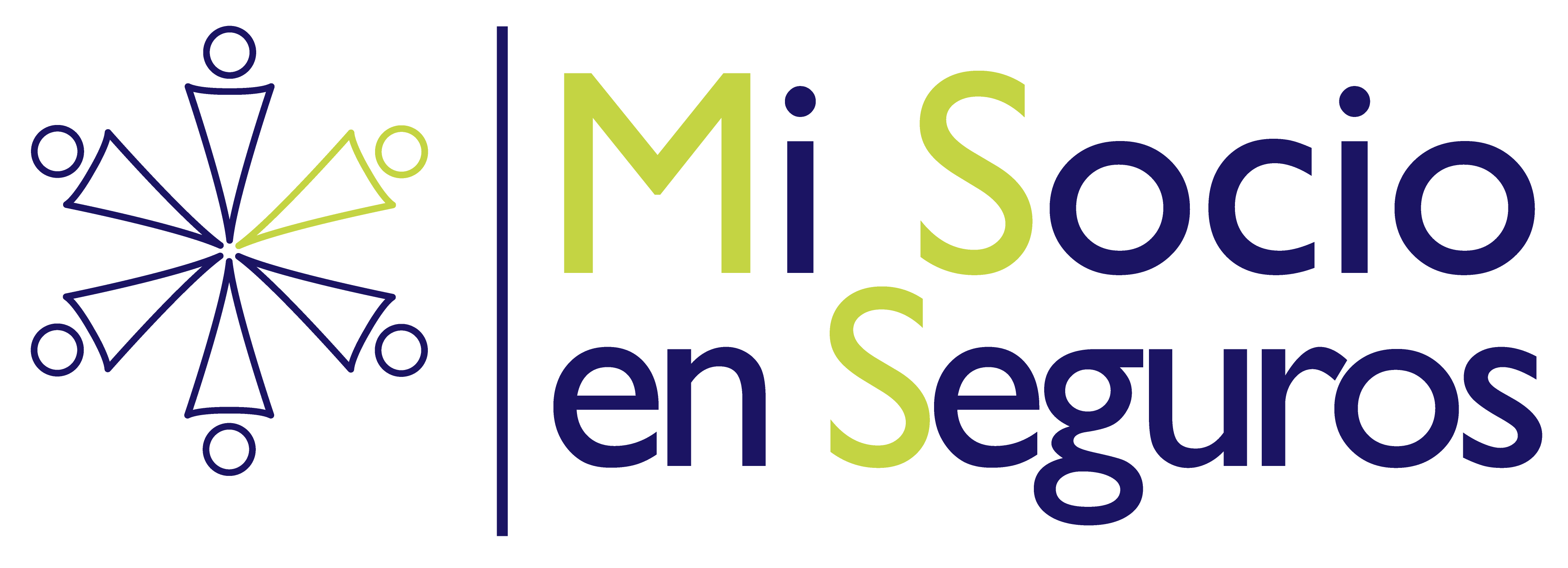 Mi Socio en Seguros