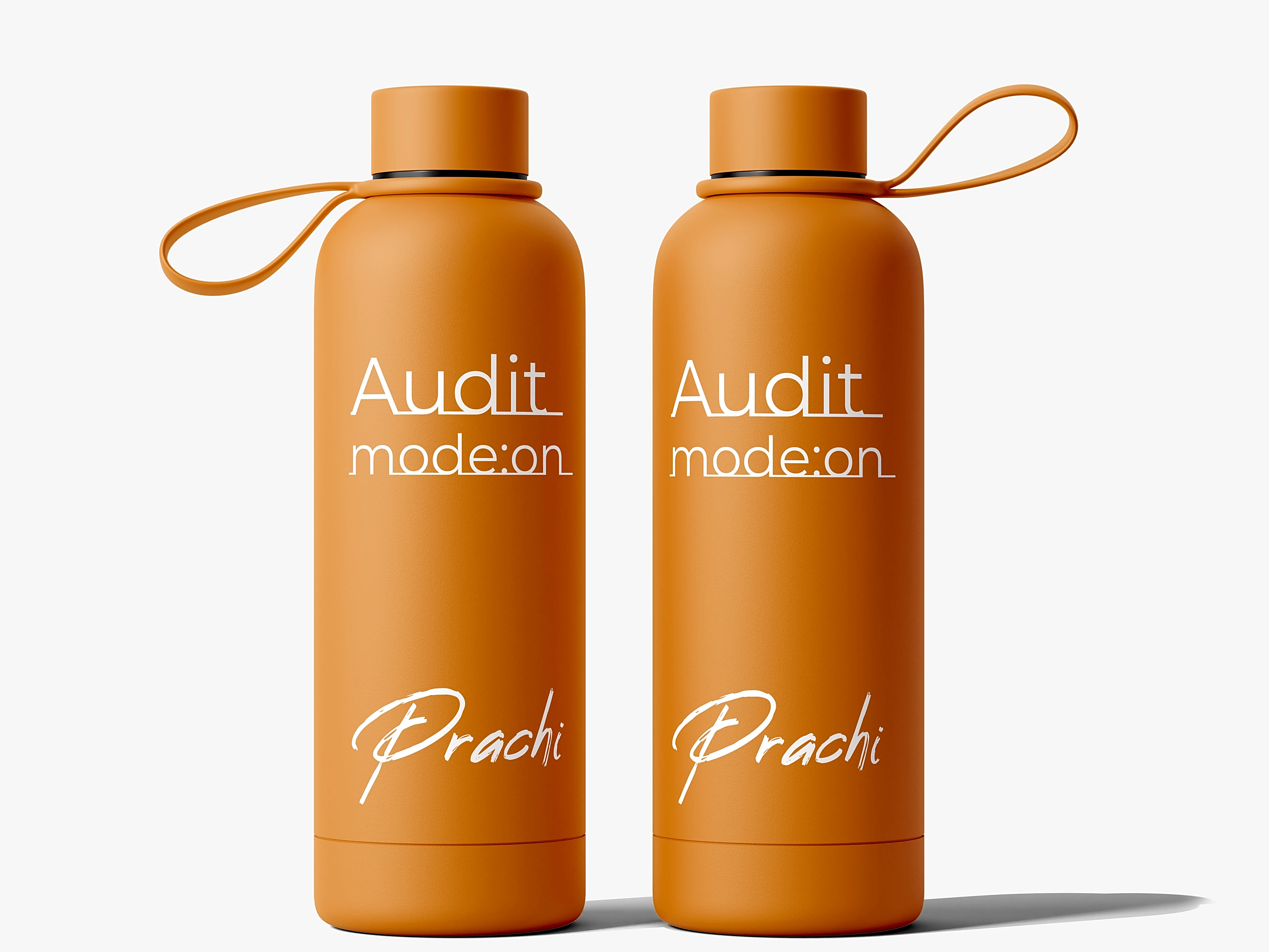 Insulated Audit Flask Bottle