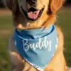 Custom Printed Dog Bandana