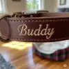 Custom Embroidered Dog Collar