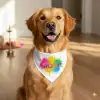 holi custom dog bandana with name