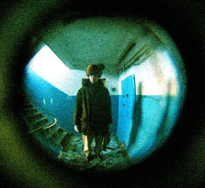 The Fisheye Lens