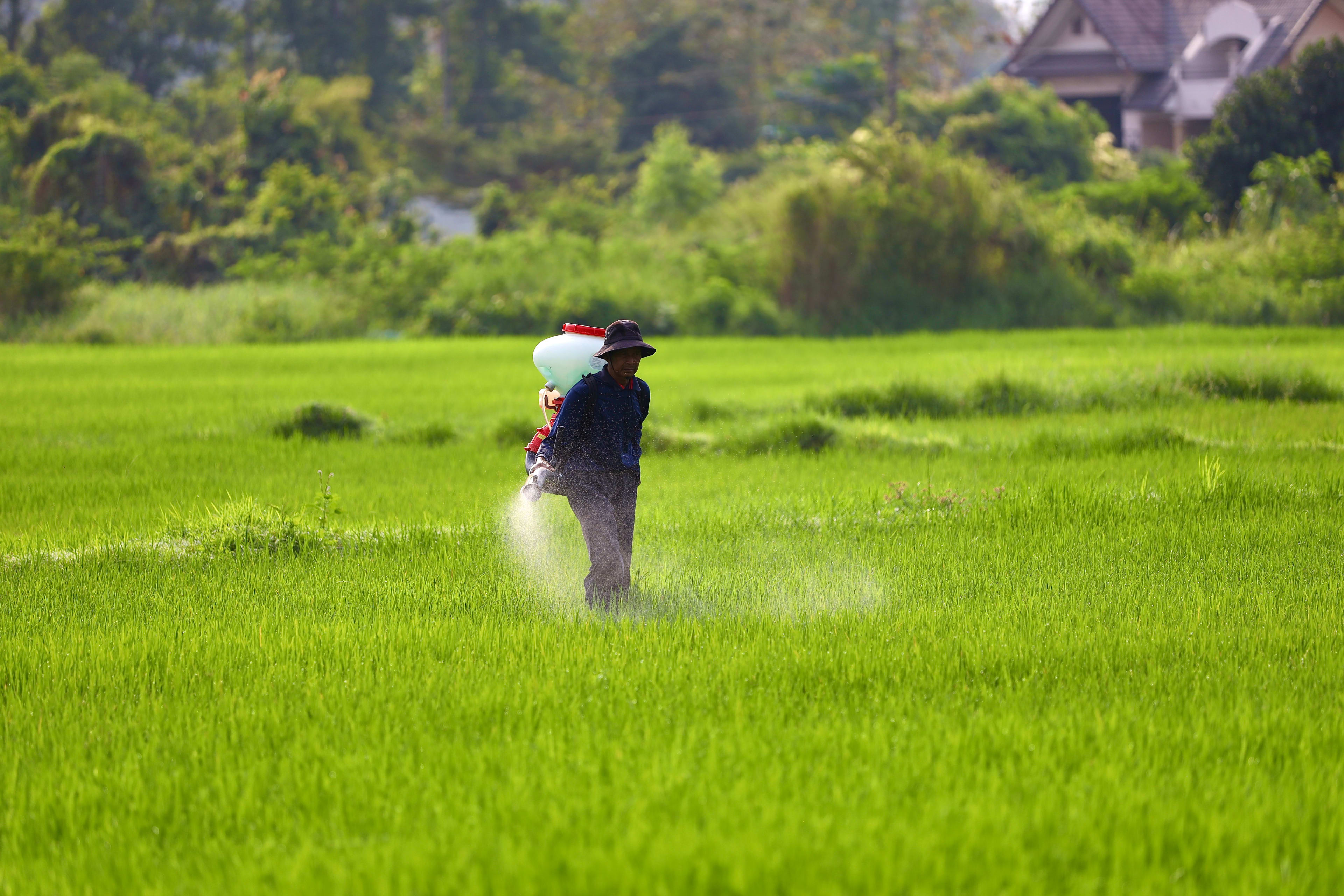 Fertiliser represetative image (Pexels)
