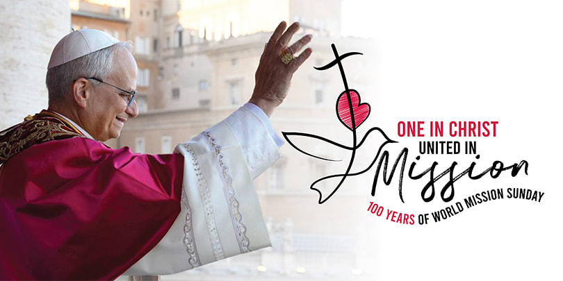 Pope Francis during a religious ceremony at the Vatican
