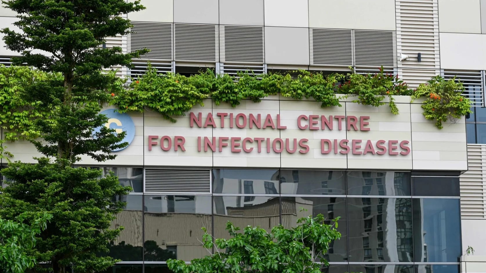 A healthcare professional examining infectious disease data on a computer screen.