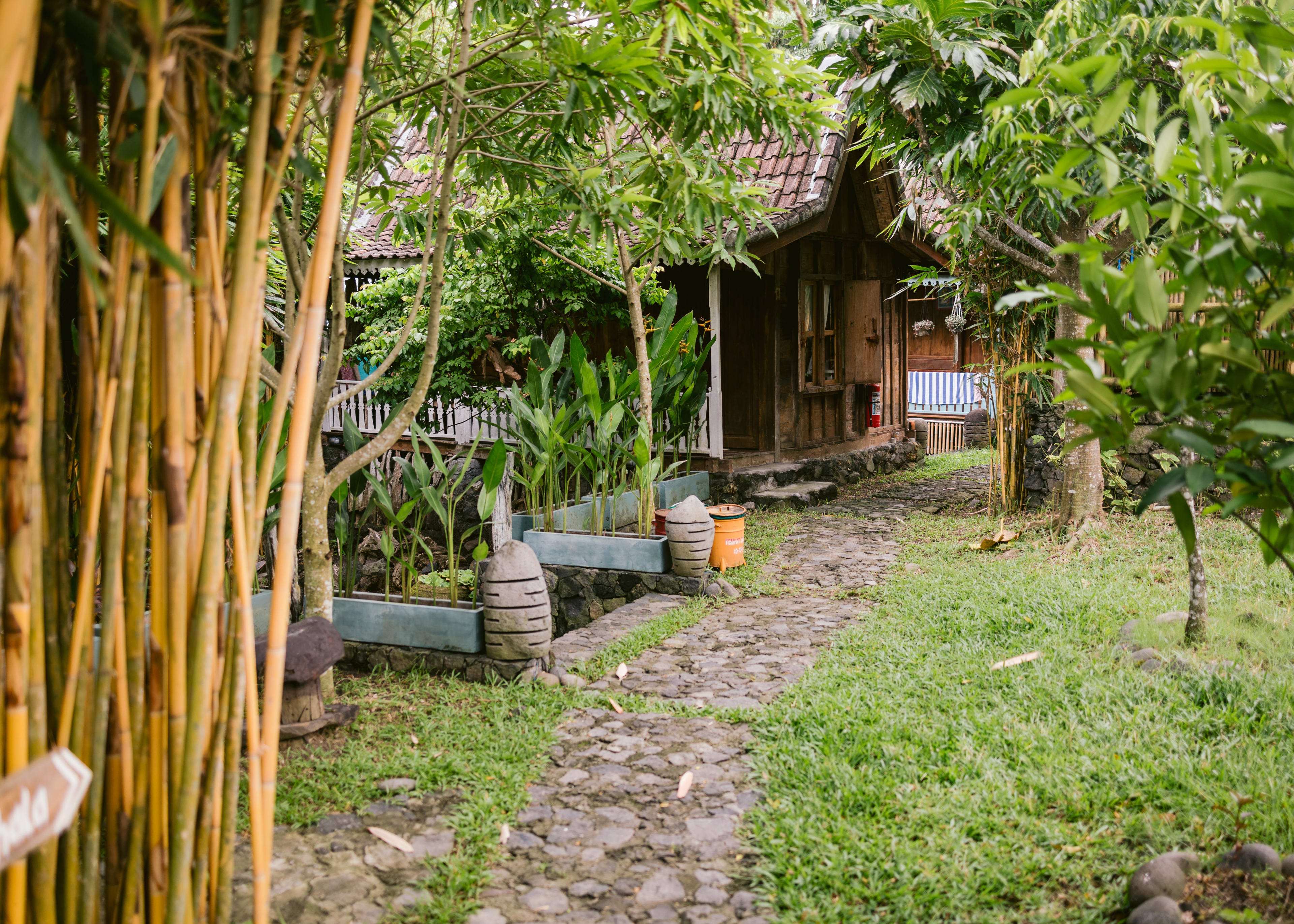 The garden path