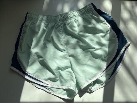 Shorts Deportivos Nike y Champion