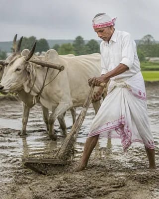 Akshaya Tritiya
