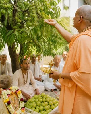 Amalaki Ekadashi