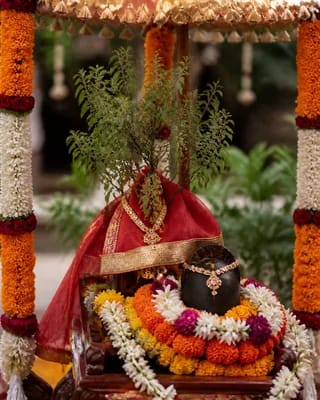 Tulasi Shalagrama Vivaha