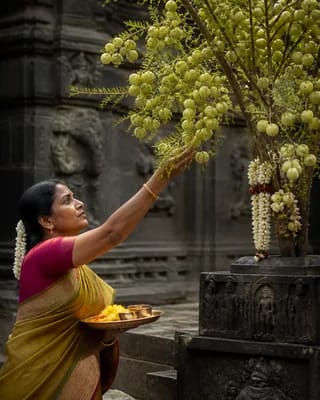 Amalaki Ekadashi