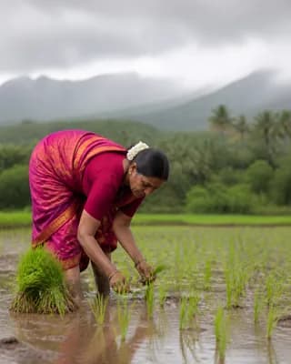 Mithuna Sankranti