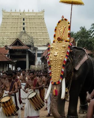 Painkuni Uthram