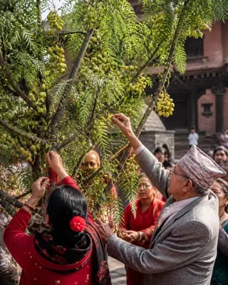 Amalaki Ekadashi