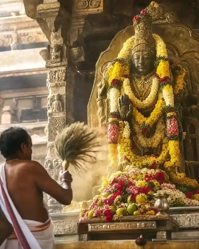 Dhoolivandana