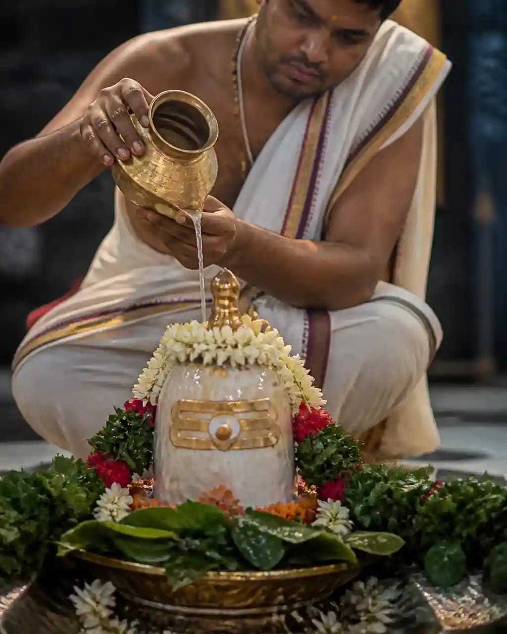 Pavitra