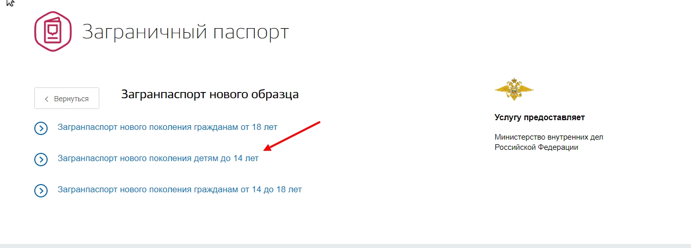 Как оформить загранпаспорт через госуслуги пошагово на ребенка до 14 лет старого образца