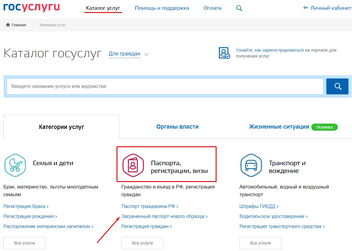 Как оформить загранпаспорт через госуслуги на ребенка до 14 лет пошагово нового образца