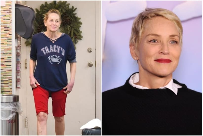 Sharon Stone: una carrera brillante que continúa cautivando