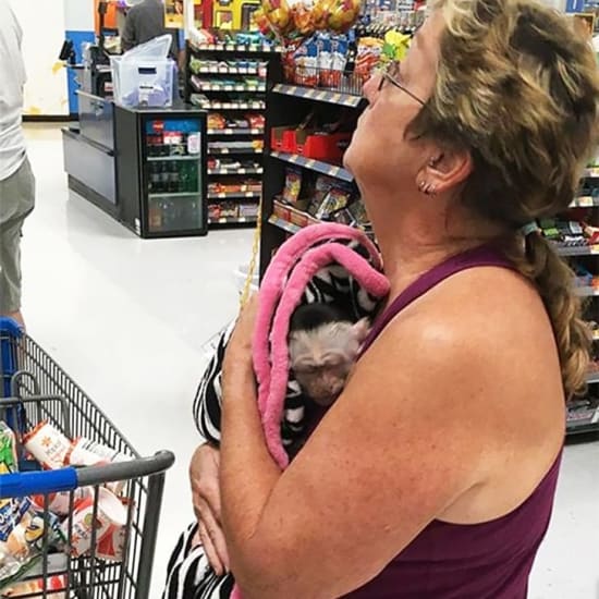Una abuela y su mono: el amor incondicional en el supermercado