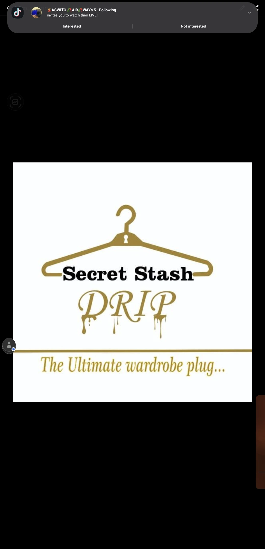 Secret stash drip logo