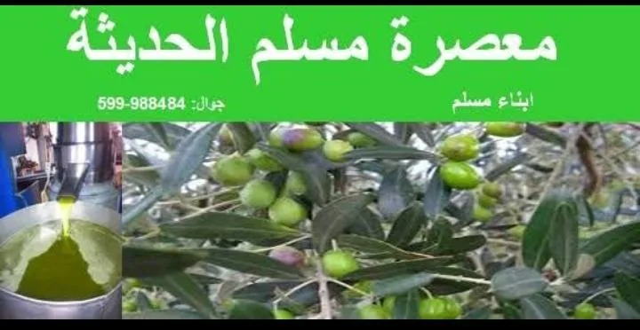 معصرة مسلم الحديثة لعصر الزيتون