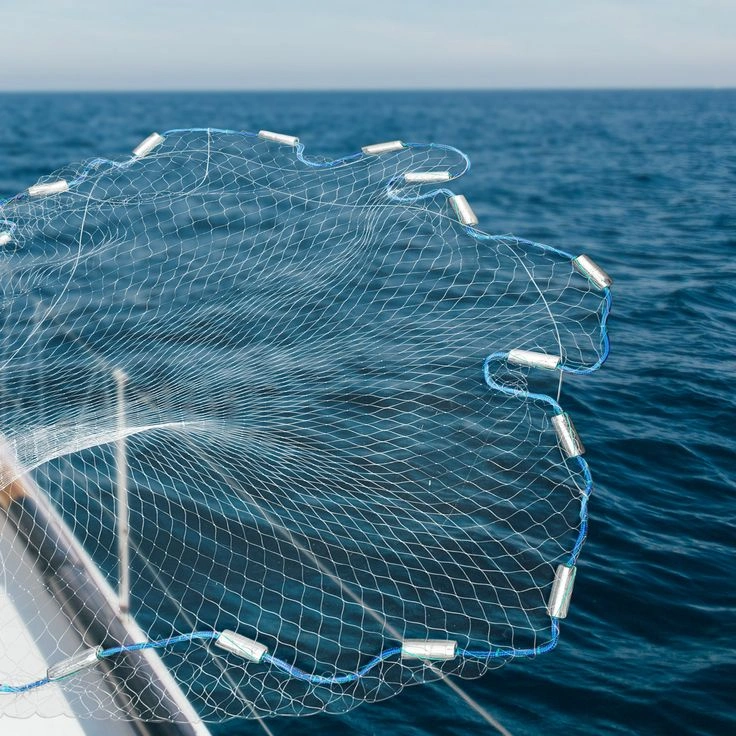 Looking for a Fishing Net Shop Near Me?