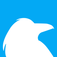 Raven Tools logo