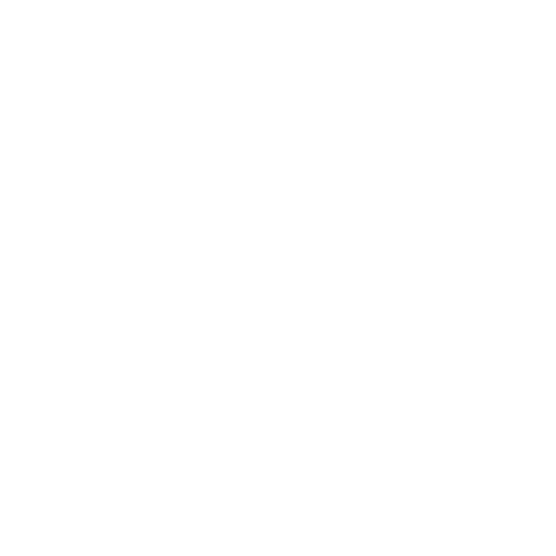 Local Express logo