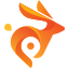 bunny.net logo