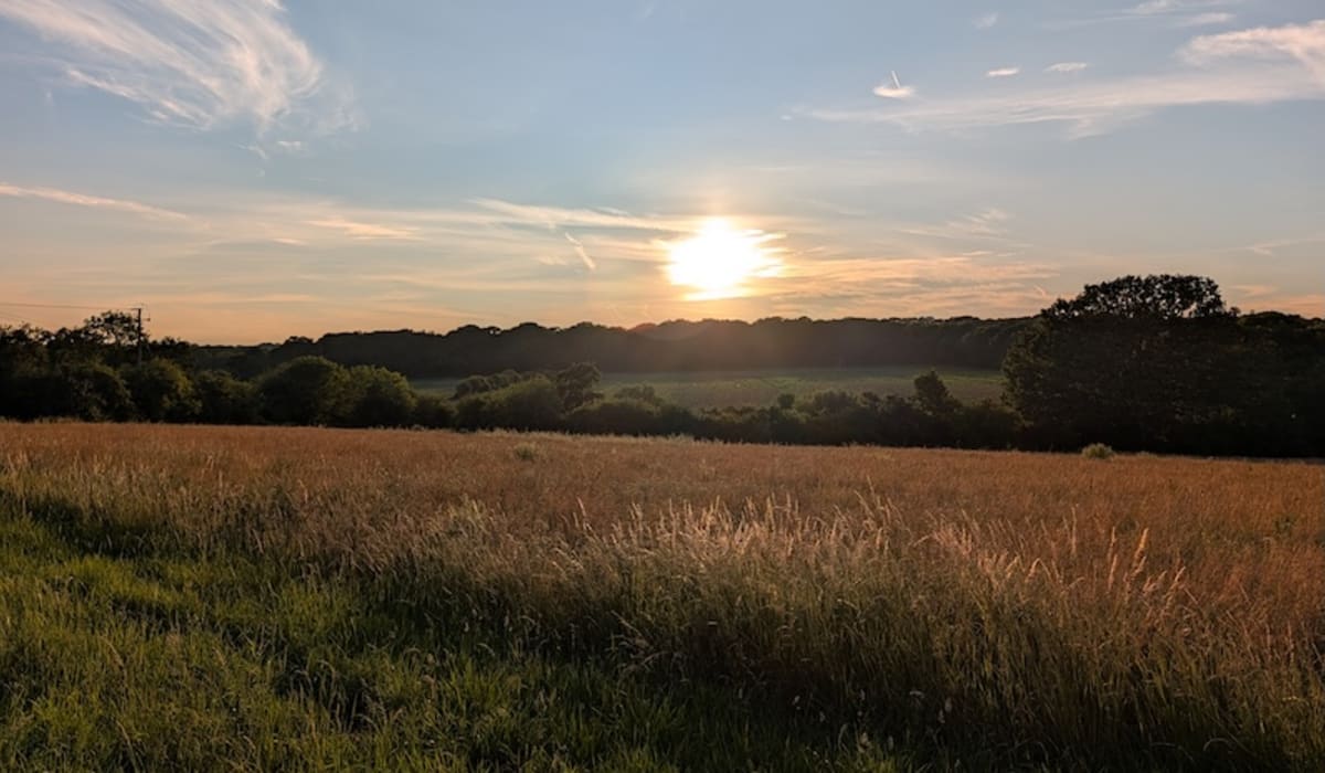 Why are Save Higham Wood banners appearing across Tonbridge? - Image 1