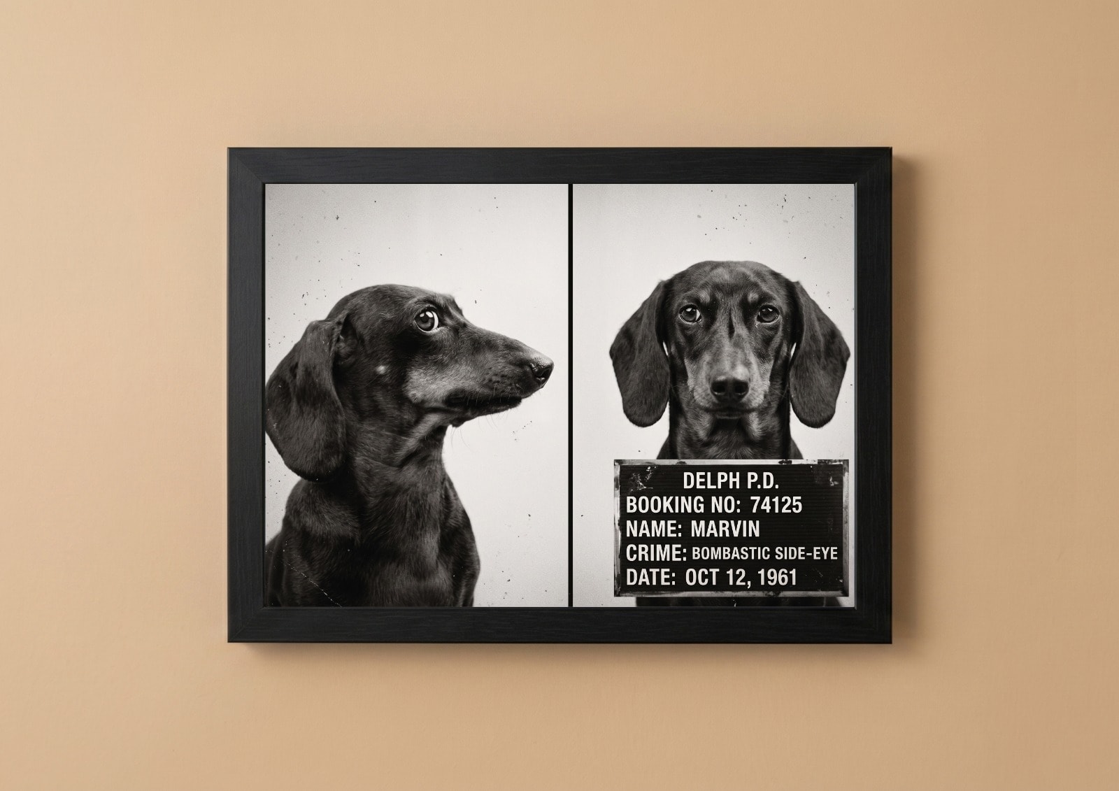 Mugshot custom pet portrait Cape Town