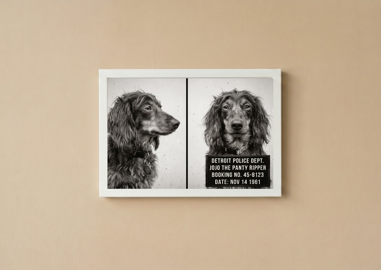 Mugshot custom pet portrait Cape Town