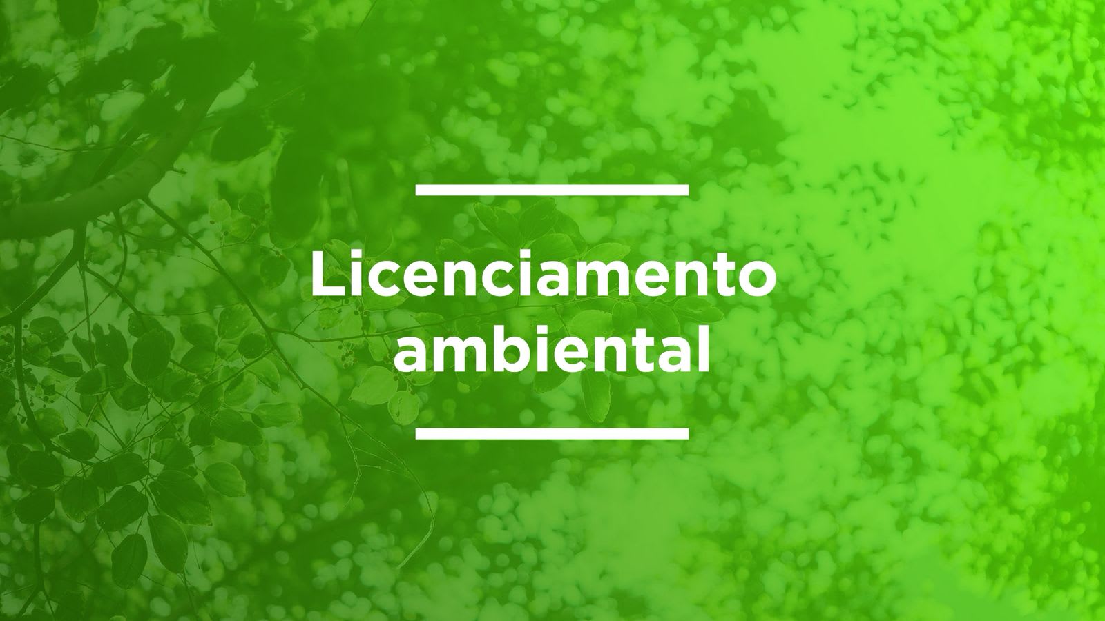Licença Ambiental - F VALDINA DE BRITO MACHADO
