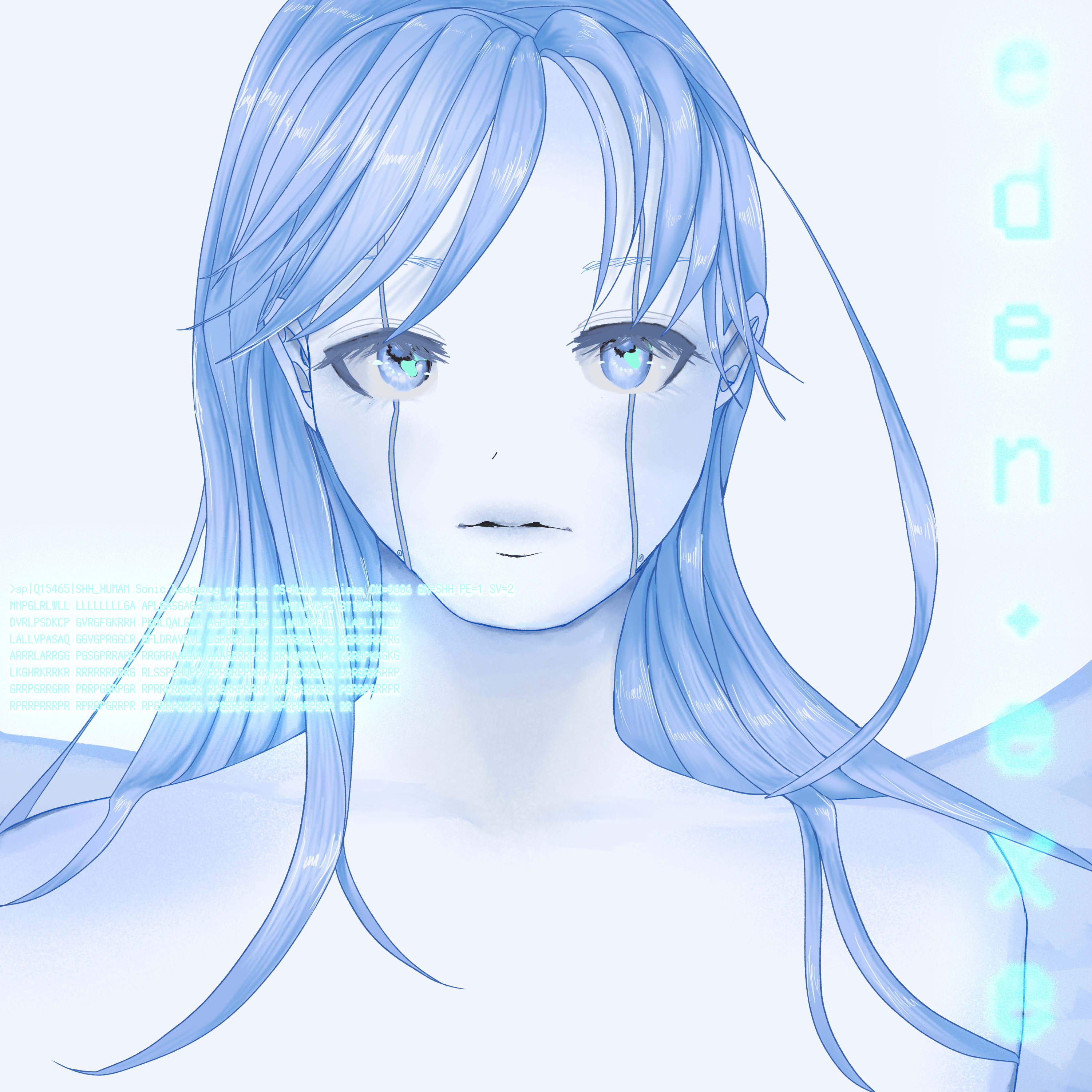 Angel SHH