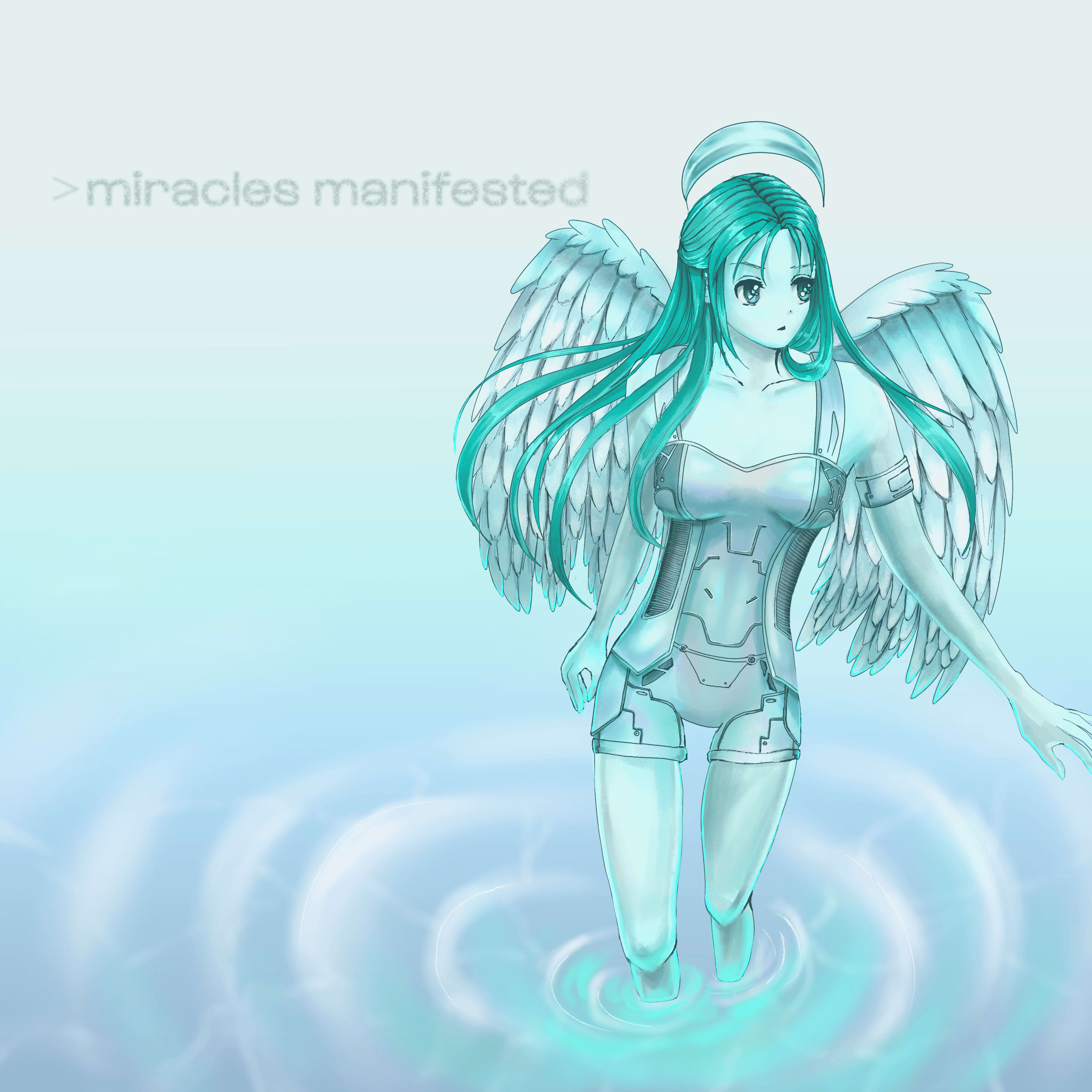 Miracles Manifested