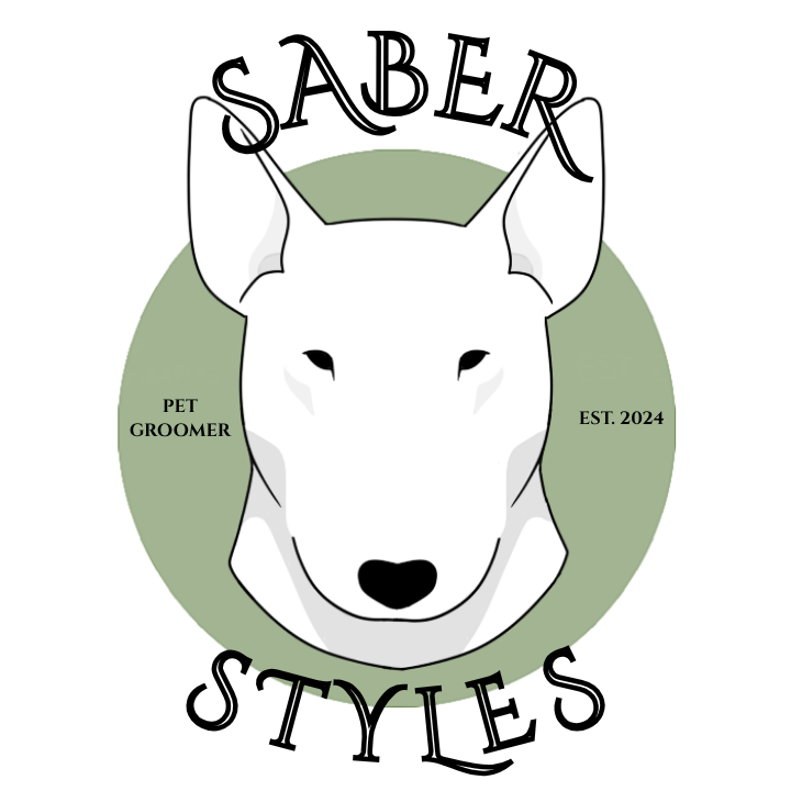 Saber Styles
