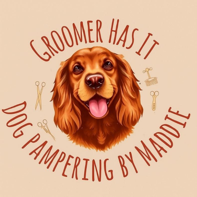 Dog Pampering by Maddie
