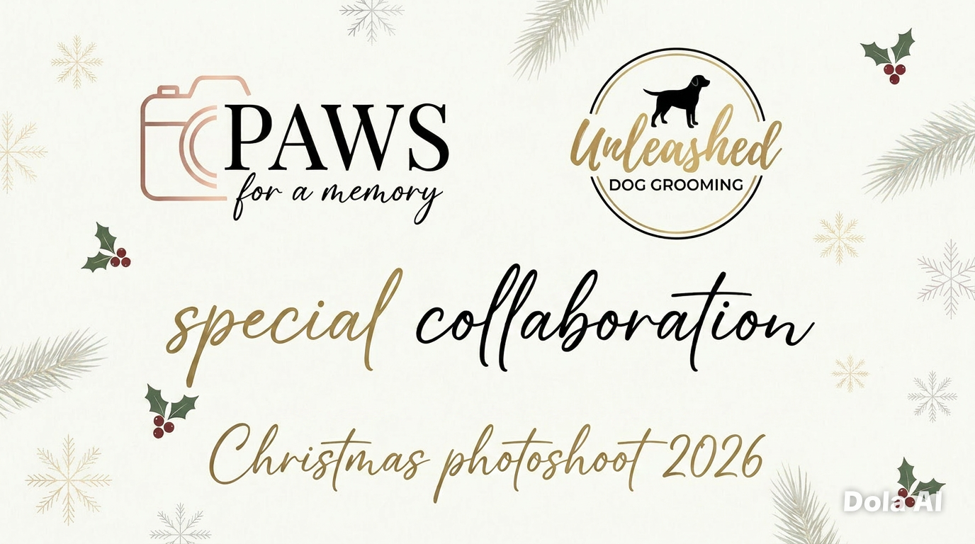 Christmas Photoshoot Decemeber 2026