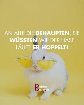Coole Sprüche mit Bildern zum kopieren & herunterladen