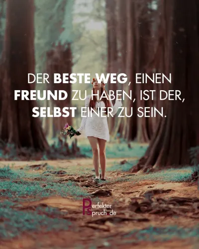 Gute Sprüche mit Bildern zum herunterladen & kopieren.