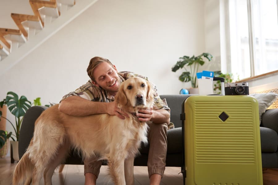 Southwest Airlines Pet Policy: Everything You Need to Know Before Flying With Your Pet