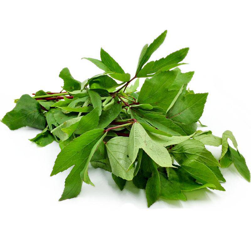 Gongura Bunch (Sorrel Leaves) 200g (Approx)
