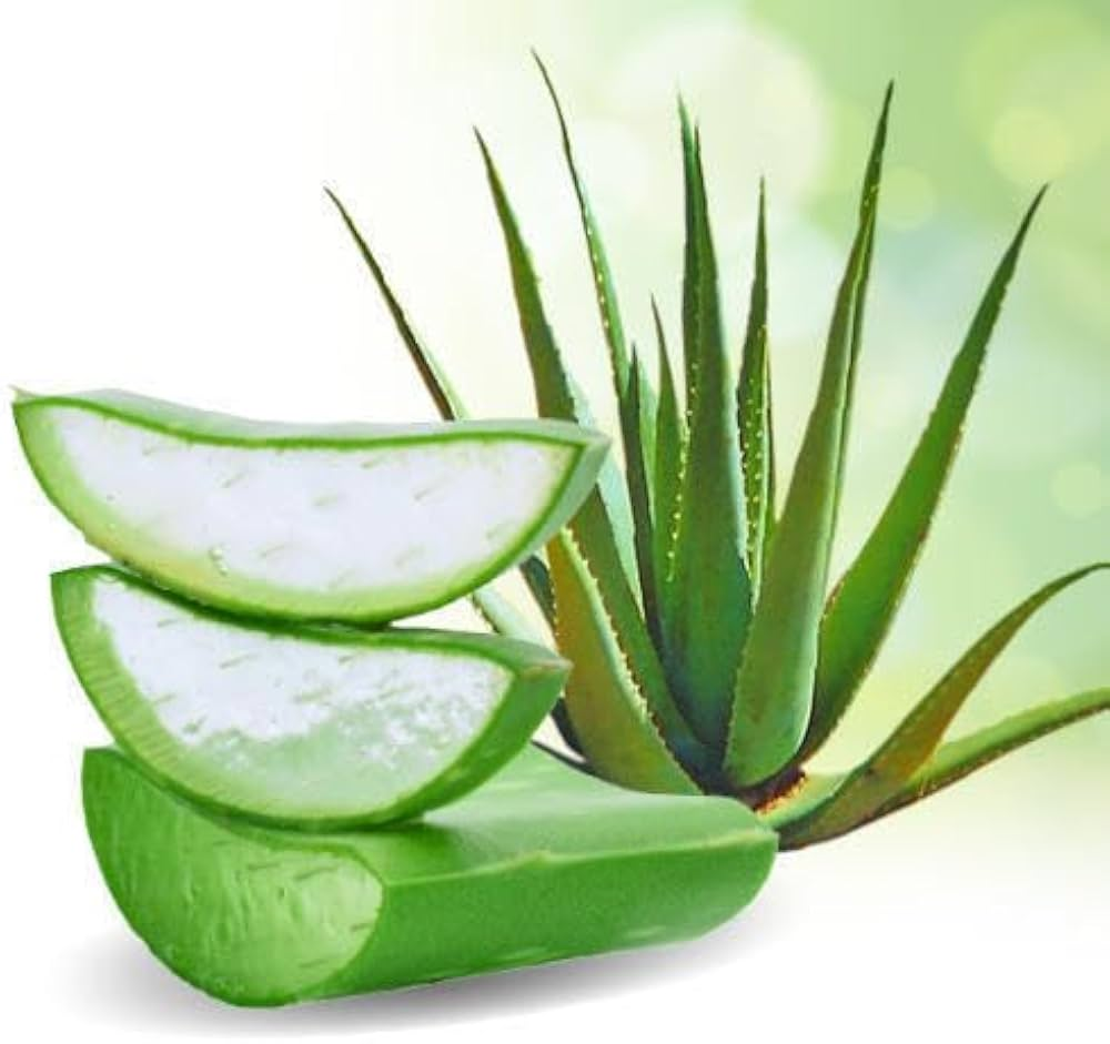 Fresh Aloe Vera 200g (Approx) � Natural Aloe Leaf