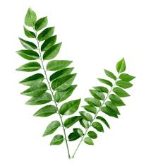 Curry Leaves (Kari Veppilai) 20g (Approx)